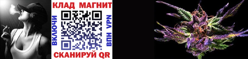 Как найти наркотики Звенигово СОЛЬ  Мефедрон  ГАШ  Бошки Шишки  Псилоцибиновые грибы  Cocaine 