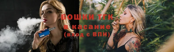 прущие крисы Армянск