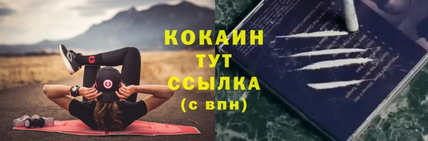 эйфоретик Арсеньев