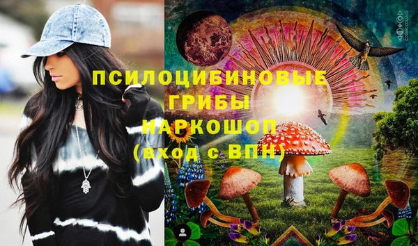 эйфоретик Арсеньев