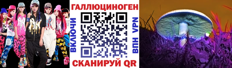 гидра как войти  Звенигово  Псилоцибиновые грибы Psilocybe 